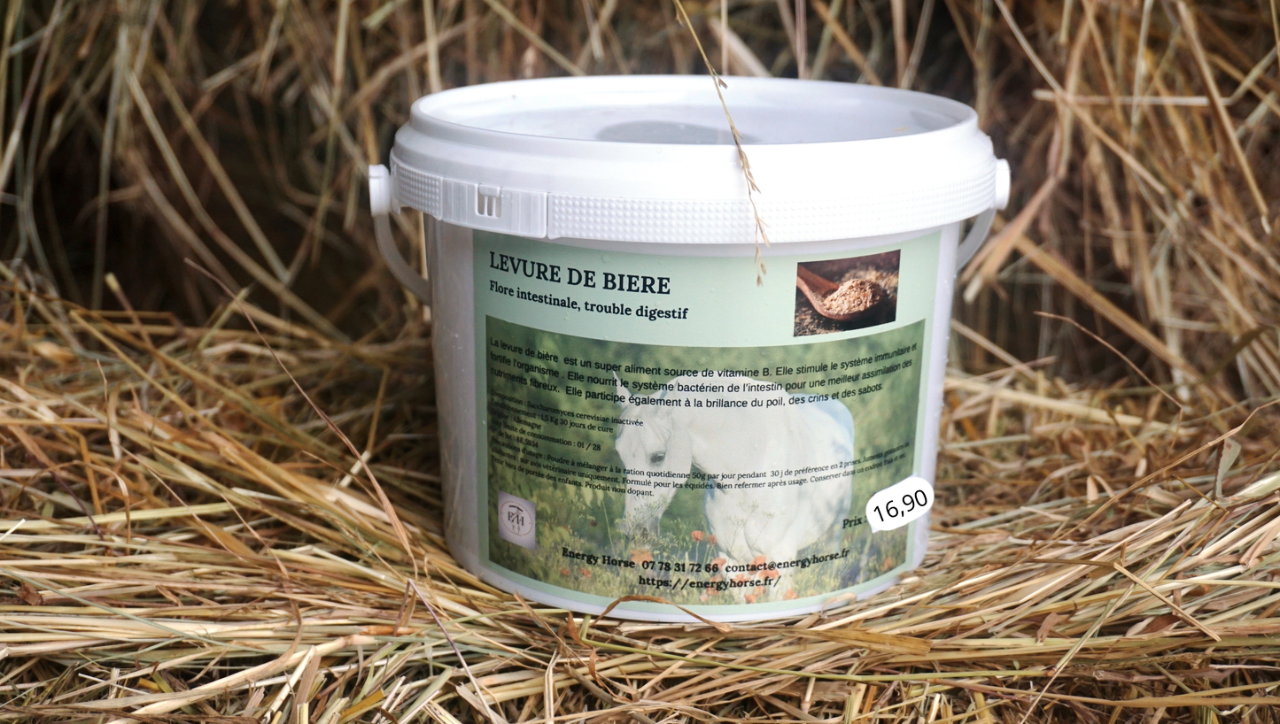 LEVURE DE BIERE source de vitamines B