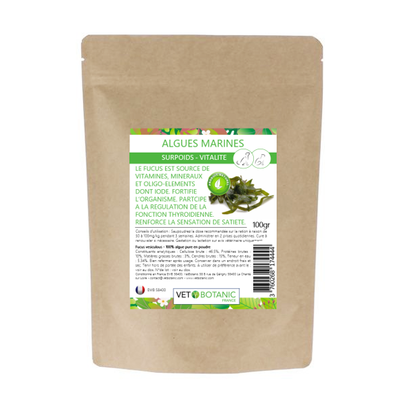 ALGUES MARINES plante pure en poudre – Pelage et carences chiens et chats