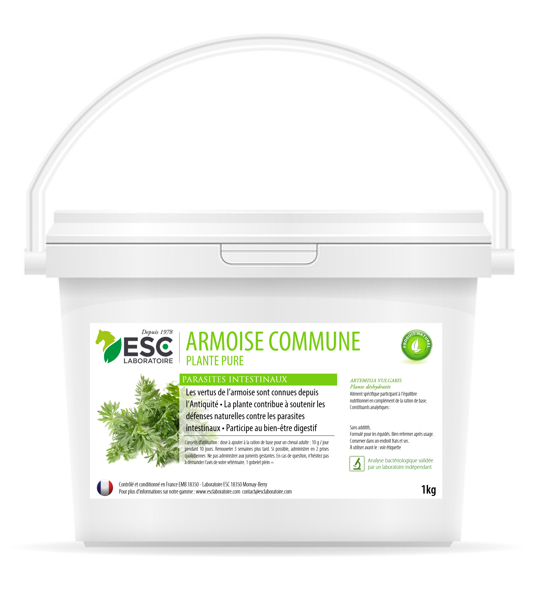 ARMOISE COMMUNE parasites intestinaux