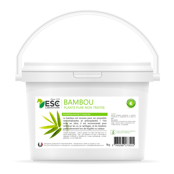 BAMBOU reminéralisation articulaire