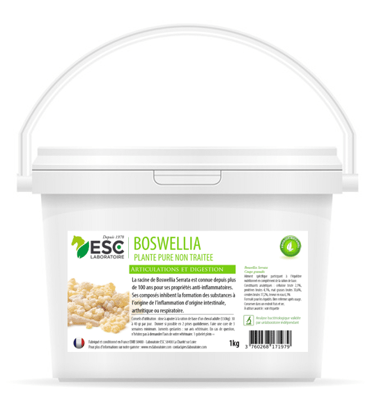 BOSWELLIA SERRATA protection articulaire et pulmonaire