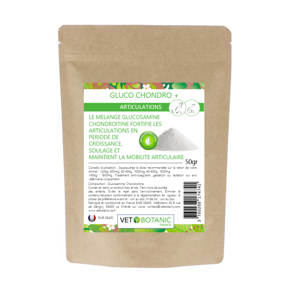 GLUCO CHONDRO + – Renforcement articulaire chiens et chats