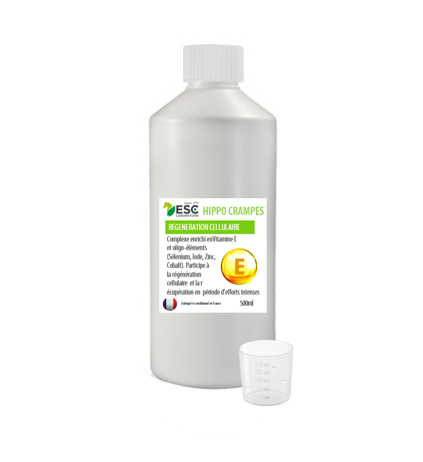HIPPOCRAMPES récupération et fatigue