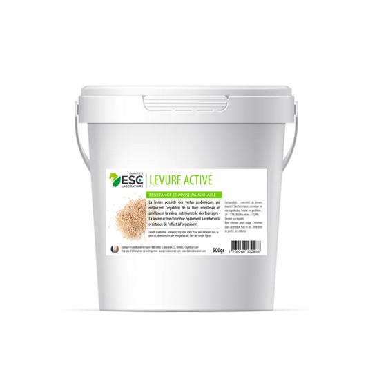 LEVURE ACTIVE probiotique pour la flore intestinale