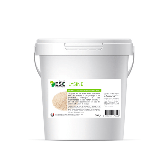 LYSINE +soutien à l'effort et devellopement musculaire