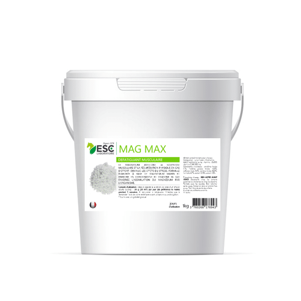 MAG MAX magnésium marin