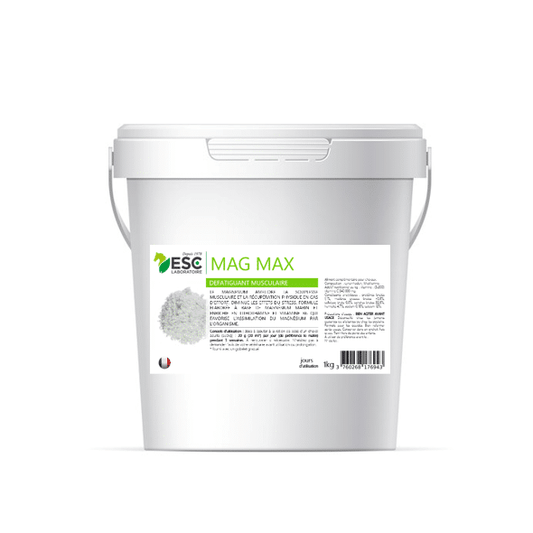 MAG MAX magnésium marin