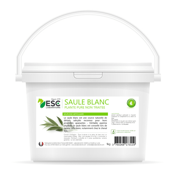 SAULE BLANC douleurs  articulaires