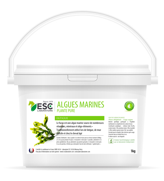 ALGUES MARINES FUCUS revitalisante