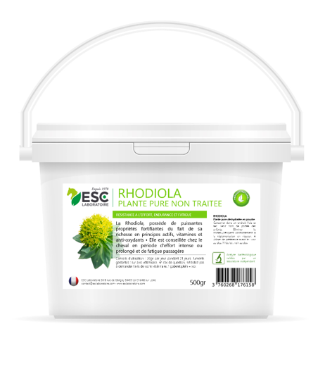 RHODIOLA résistance à l'effort