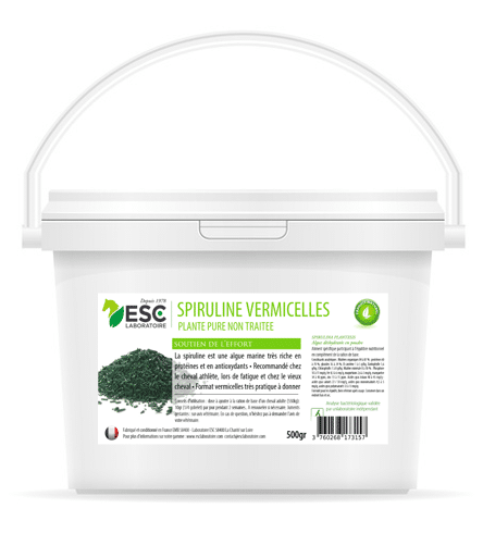 SPIRULINE VERMICELLE résistance à l'effort