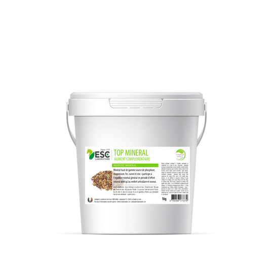 TOP MINERAL fatigue et effort intense
