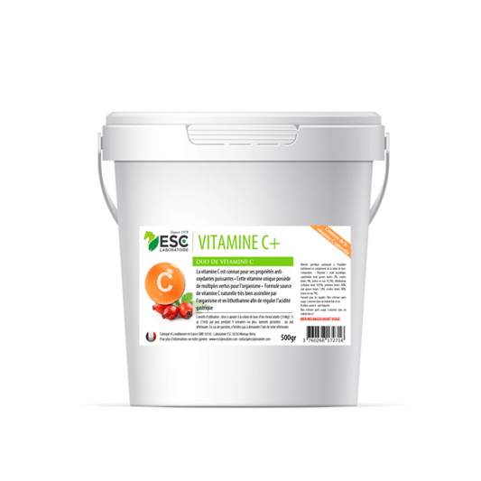 VITAMINE C soutien de l'effort et système immunitaire