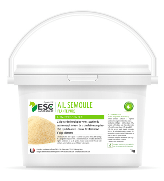AIL SEMOULE bien être général