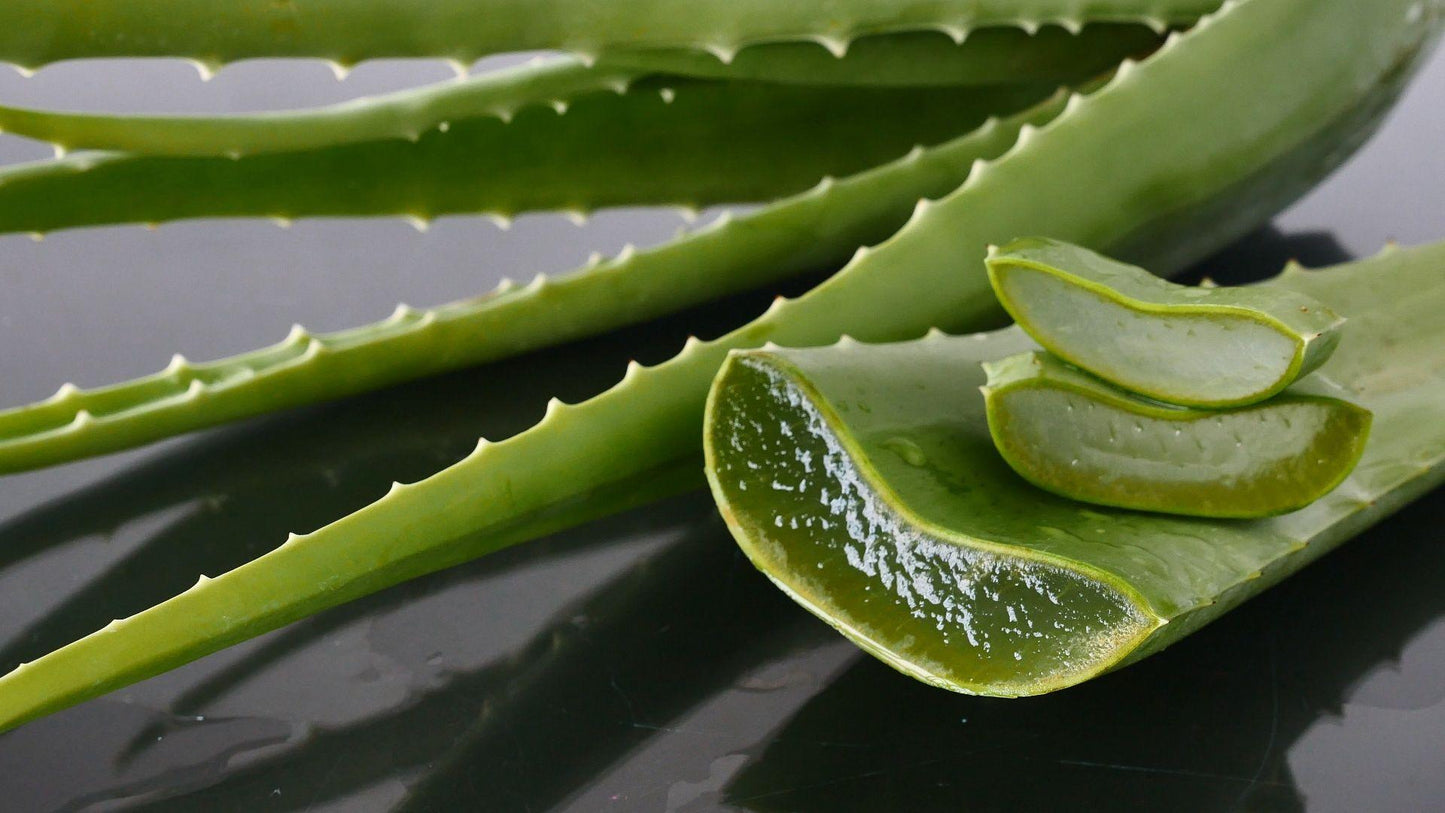 JUS D'ALOE bien-être du système digestif