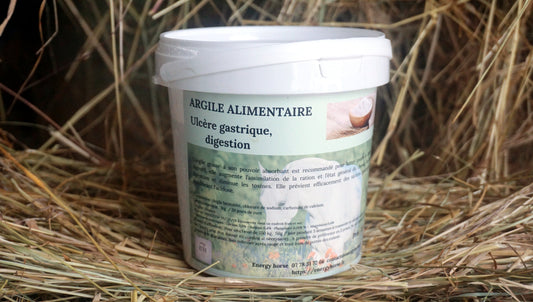 ARGILE ALIMENTAIRE désordre digestif
