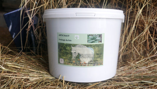 ARTICHAUT stimulation du foie