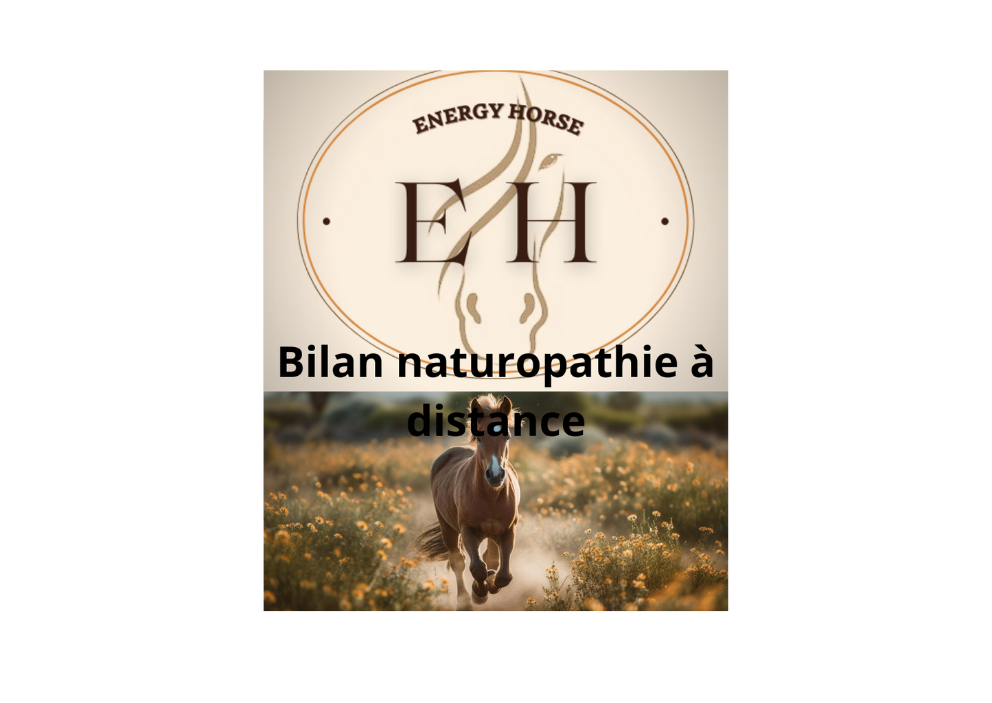 Bilan naturopathie