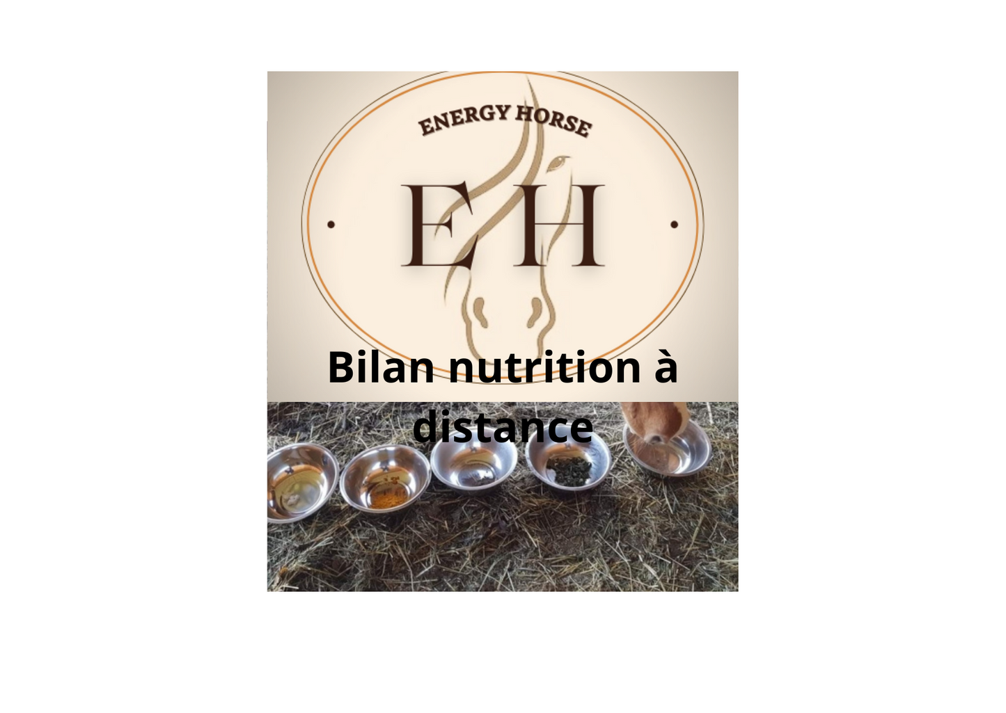 Bilan nutrition