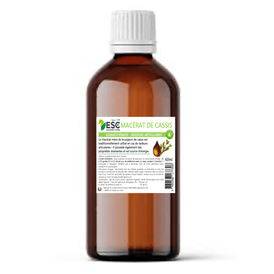 GEMMOTHERAPIE DE CASSIS douleur , articulation