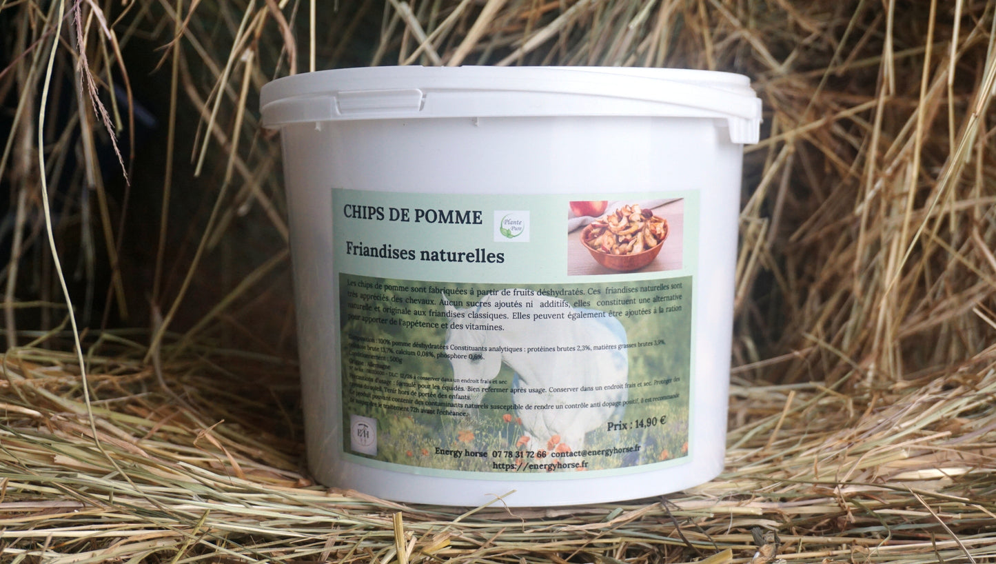 CHIPS DE POMME