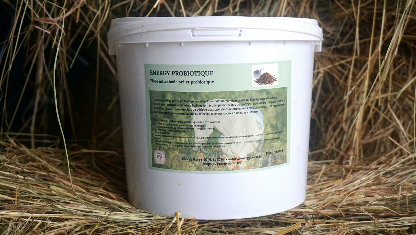 ENERGY PROBIOTIQUE