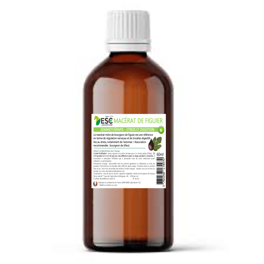 GEMMOTHERAPIE DE FIGUIER stress et troubles digestifs