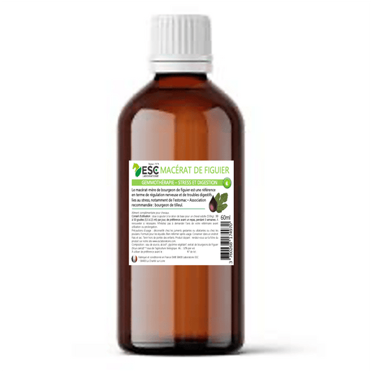 GEMMOTHERAPIE DE FIGUIER stress et troubles digestifs