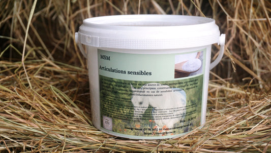 MSM 100% pur protection des articulations