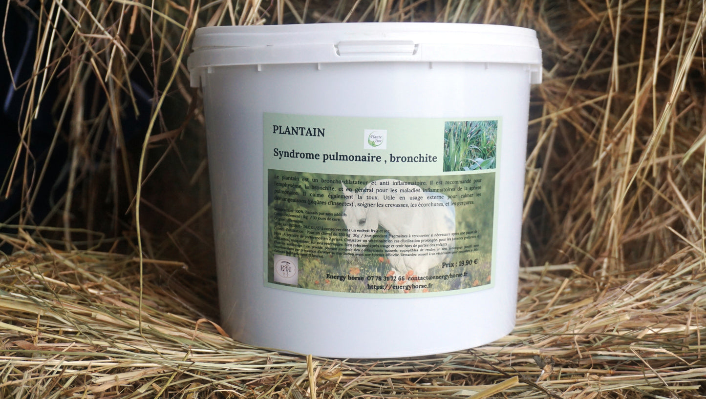 PLANTAIN voies respiratoires