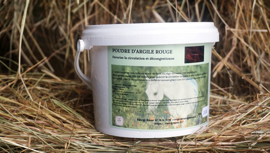 ARGILE ROUGE Engorgement circulation sanguine