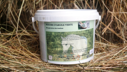 ARGILE VERTE