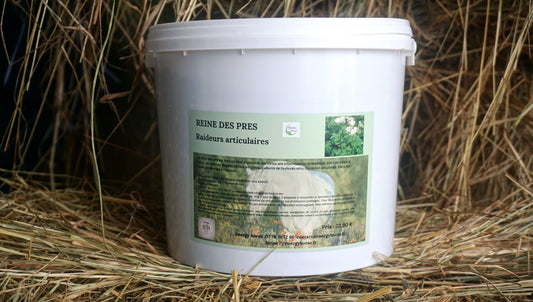 REINES DES PRES aspirine naturel