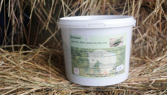 ROMARIN détox et protection foie