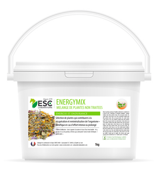ENERGYMIX