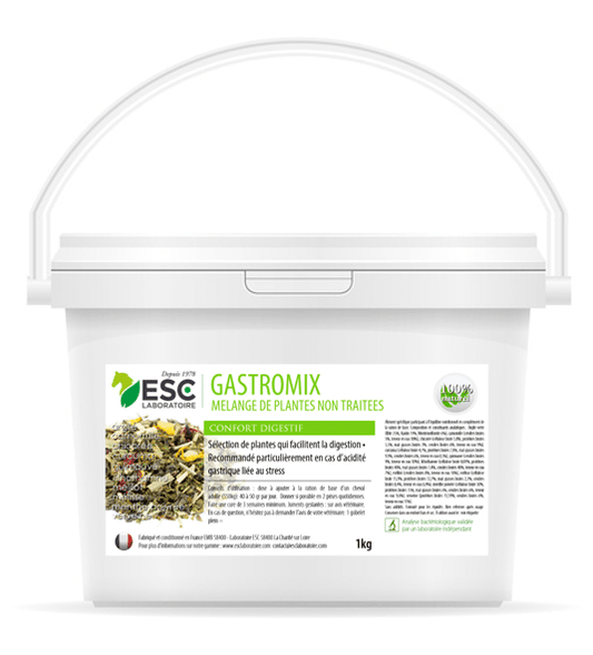 GASTROMIX acidité gastrique
