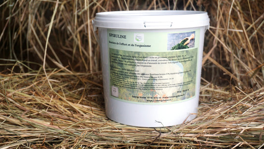 SPIRULINE EN POUDRE résistance à  l'effort