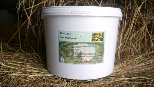 TUSSILAGE encombrement des bronches