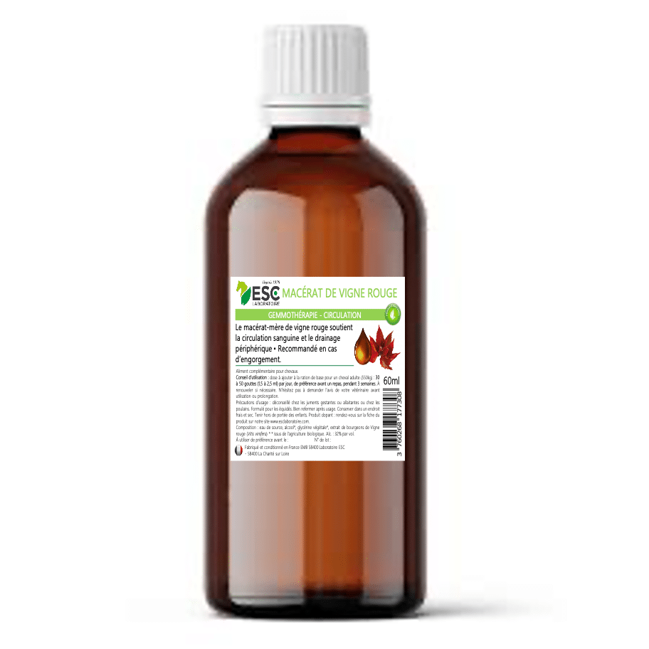 GEMMOTHERAPIE DE VIGNE ROUGE Engorgement