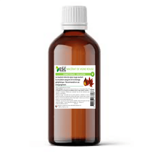 GEMMOTHERAPIE DE VIGNE ROUGE Engorgement