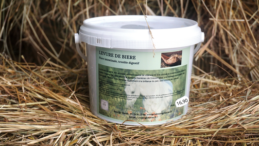 LEVURE DE BIERE source de vitamines B