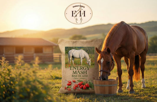 MASH SANS CEREALES Baie de goji Vitalité & immunité