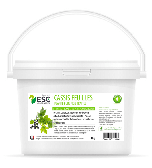 CASSIS douleur articulaire