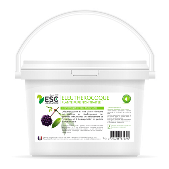 ELEUTHEROCOQUE défences immunitaires