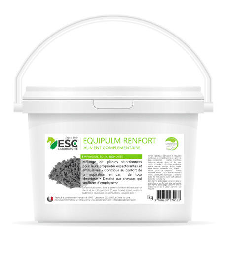 EQUIPULM RENFORT irritation des bronches