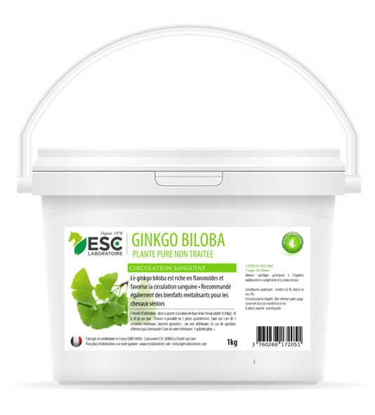 GINKGO BILOBA crculation sanguine
