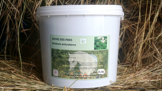 REINES DES PRES aspirine naturel