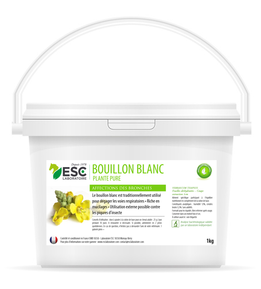 BOUILLON BLANC protection des bronches