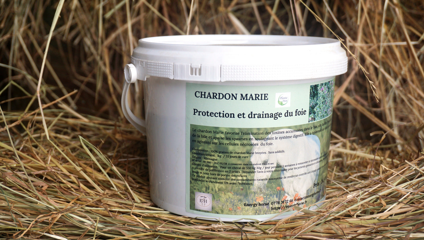 CHARDON MARIE soutien et stimule le foie