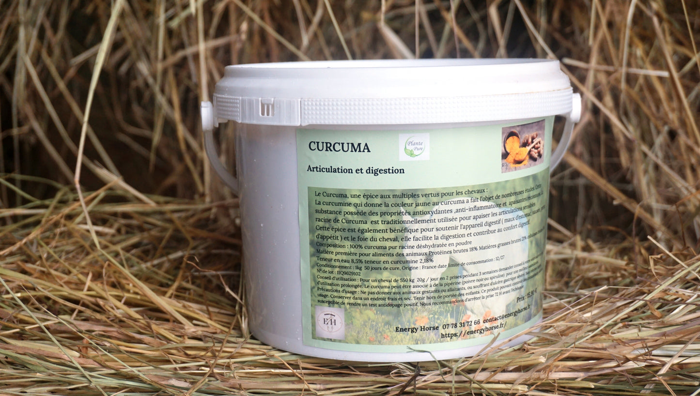CURCUMA articulations et digestion